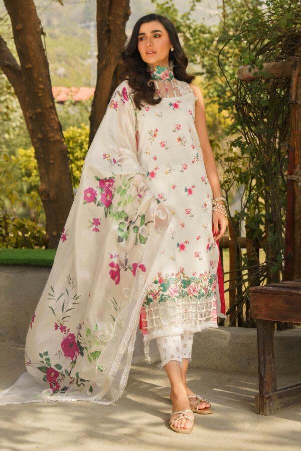 Asifa Nabeel Meraki Lawn