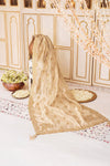 WEDDING FESTIVE ’24 VOL. 2 - LIGHT GOLD TISSUE SHAWL